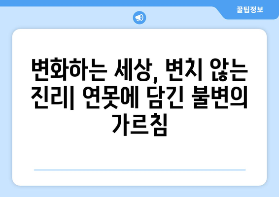 대지혜의 연못에 들어가기| 무상과 자아의 허상을 깨닫는 여정 | 명상, 자아성찰, 깨달음, 불교