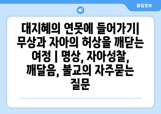 대지혜의 연못에 들어가기| 무상과 자아의 허상을 깨닫는 여정 | 명상, 자아성찰, 깨달음, 불교