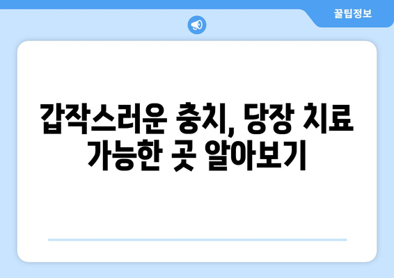 공휴일·일요일 당장 충치 치료 가능한 곳 찾기 | 응급 치과, 긴급 진료, 주말 진료