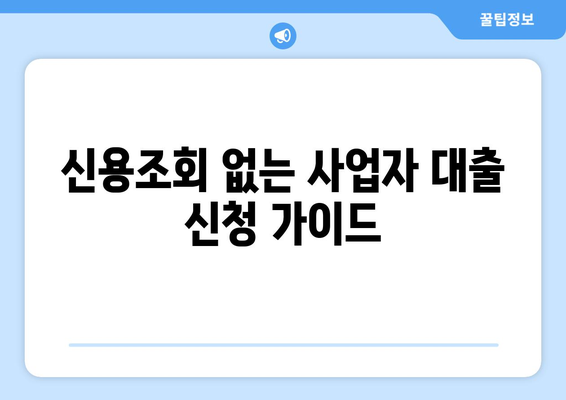 사업자 대출, 신용조회 없이도 가능할까요? | 신청 가이드 & 추천 상품 비교