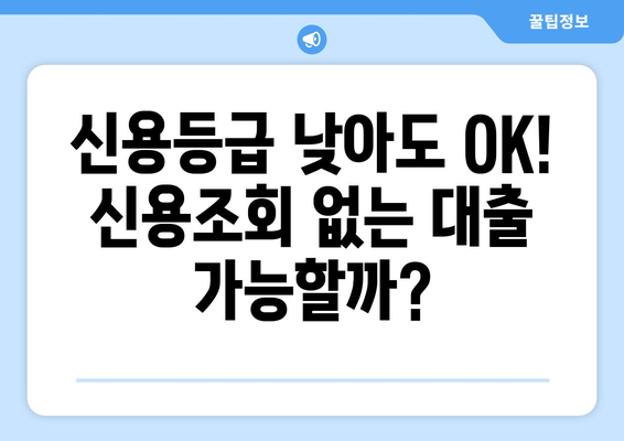 신용조회 없는 대출, 어디서 받을까요? | 신용등급 낮아도 OK, 추천 업체 비교분석