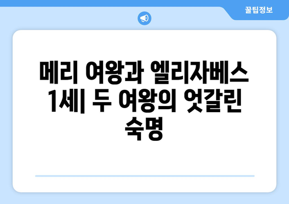 메리 여왕, 그녀의 정체성과 삶의 목적을 찾아서| 권력과 사랑 사이에서 | 메리 여왕, 영국 역사, 스코틀랜드 여왕, 엘리자베스 1세