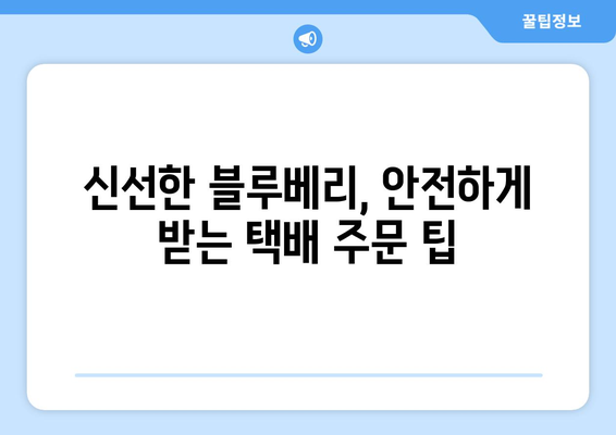 블루베리 택배 주문 완벽 가이드| 꼭 알아야 할 5가지 주의 사항 | 블루베리, 택배, 주문, 배송, 팁