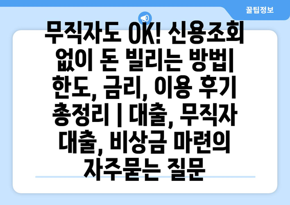 무직자도 OK! 신용조회 없이 돈 빌리는 방법| 한도, 금리, 이용 후기 총정리 | 대출, 무직자 대출, 비상금 마련