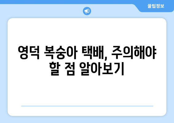 영덕 복숭아 택배, 박스 크기는 어떻게? | 택배 발송 가이드, 박스 추천, 주의사항