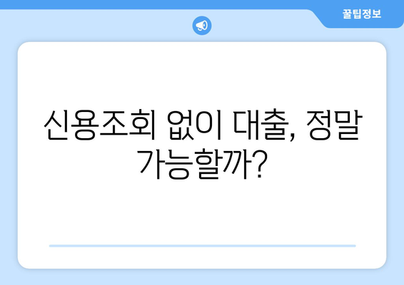 신용조회 없는 대출, 가능할까? | 보너스 팁으로 알아보는 신용불량자 대출 정보