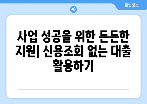 신용조회 없는 사업자 대출| 빠르고 쉽게 돈 빌리는 방법 |  비교, 추천, 무서류 대출