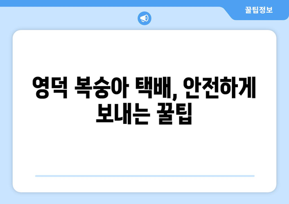 영덕 복숭아 택배, 박스 크기는 어떻게? | 택배 발송 가이드, 박스 추천, 주의사항