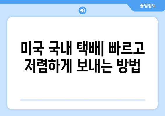 미국 내외 택배 보내기 후기| 실제 경험 바탕으로 알려드리는 꿀팁 | 국제 배송, 해외 배송, 택배 추천