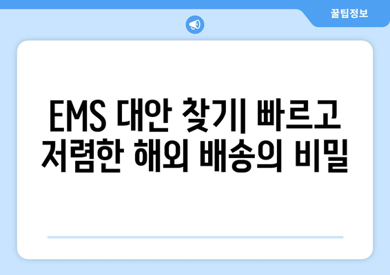 EMS 대안 후기| 항공 해외 택배 빠르게 보내는 방법 | 해외배송, 국제택배, 빠른배송, 저렴한배송