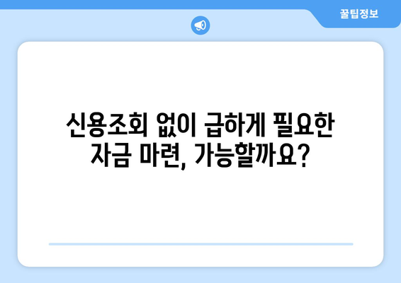 낮은 신용점수에도 대출 가능! 신용조회 없는 대출로 재정 목표 달성하기 | 신용등급, 대출, 재정 상담, 비상금 마련