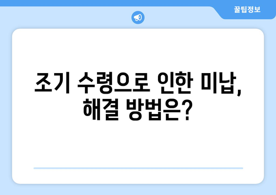 국민연금 조기수령 미납 납부, 어떻게 해결할까요? | 자금 마련 가이드, 성공 전략