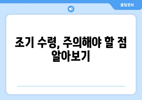 국민연금 조기수령, 보충 납부는 이렇게! |  조기수령 자격, 보충납부 방법, 계산기, 주의사항