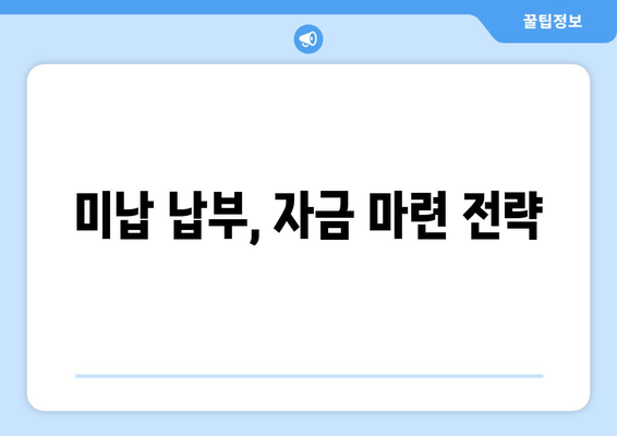 국민연금 조기수령 미납 납부, 어떻게 해결할까요? | 자금 마련 가이드, 성공 전략