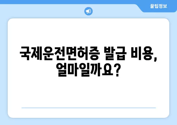 국제운전면허증 발급 & 갱신 비용 완벽 가이드 | 발급 절차, 필요 서류, 비용 정보, 갱신 방법