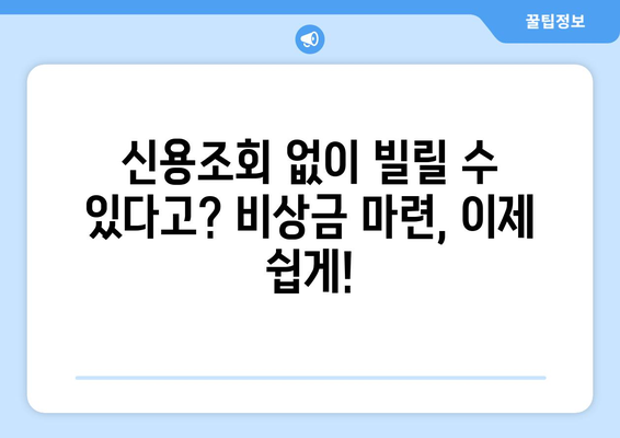 낮은 신용점수에도 대출 가능! 신용조회 없는 대출 솔루션 | 신용대출, 비상금, 저신용자 대출, 대출 정보