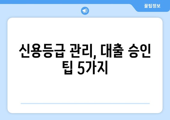 사업자 신용대출 신용조회 피하기| 5가지 팁 | 신용등급 유지, 대출 승인 확률 높이기