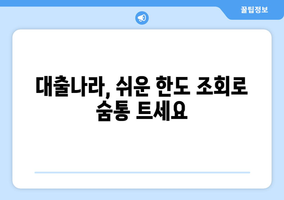 신용불량자도 가능할까? 대출나라에서 한도 조회하고 희망 찾기 | 대출, 신용불량, 한도조회, 대출나라