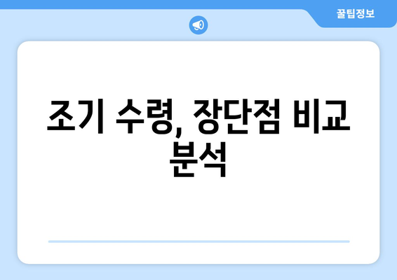 국민연금 조기수령 노령연금| 금액, 조건, 신청 방법 완벽 가이드 | 연금, 조기 수령, 노령 연금, 신청 절차