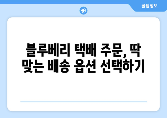 블루베리 택배 주문 완벽 가이드| 꼭 알아야 할 5가지 주의 사항 | 블루베리, 택배, 주문, 배송, 팁