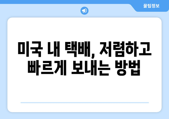 미국 내 택배 보내기 완벽 가이드| 저렴하고 빠르게 보내는 꿀팁 대공개 | 미국 택배, 국내 배송, 택배 비용, 배송 방법, 팁