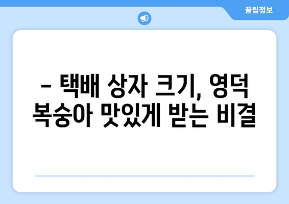 영덕 복숭아 택배 주문 시 알아야 할 상자 크기 정보 | 영덕 복숭아, 택배, 상자 크기, 주문, 배송