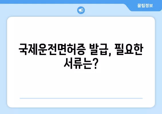 국제운전면허증 발급 & 갱신 비용 완벽 가이드 | 발급 절차, 필요 서류, 비용 정보, 갱신 방법