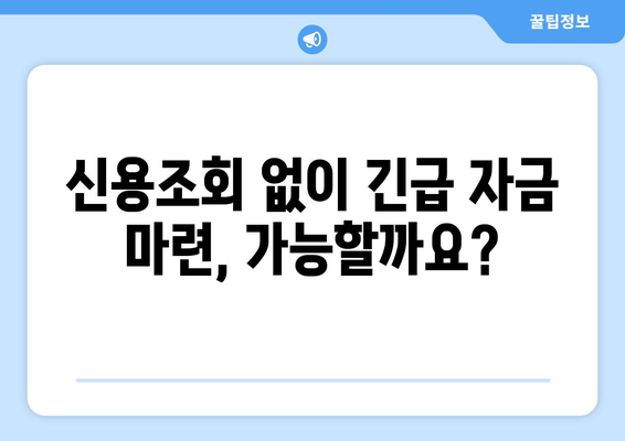 신용불량자도 가능! 신용조회 없는 대출 업체 찾는 방법 | 대출, 신용불량, 비상금, 긴급자금