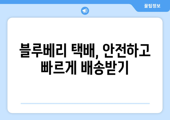 블루베리 택배 주문 완벽 가이드| 포장부터 배송까지 | 블루베리 택배, 택배 주문, 과일 배송, 신선도 유지