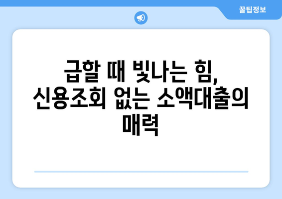 신용조회 없이 꿈을 이루는 길| 신용조회 없는 대출 완벽 가이드 | 신용대출, 무서류대출, 소액대출, 비상금