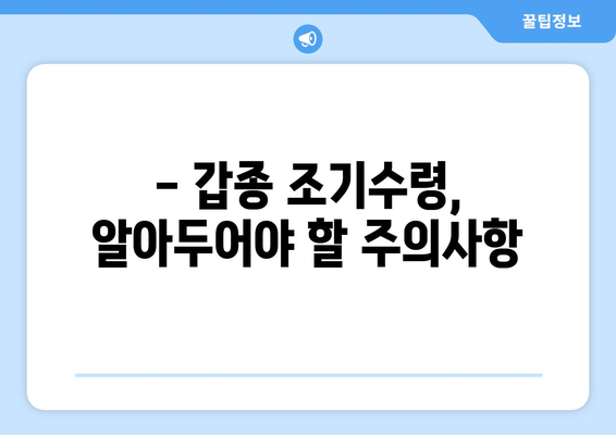 국민연금 갑종 조기수령 고려 중이신가요? 꼼꼼히 알아보세요! | 조기수령 조건, 신청 절차, 주의사항 완벽 가이드