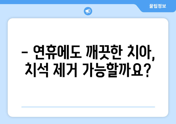 연휴 기간 동안 치석 제거, 비용 궁금하다면? | 치과, 치석 제거 비용, 연휴 진료