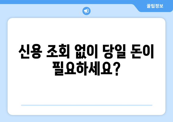 신용조회 없이 당일 대출 가능한 곳 | 즉시 승인, 빠른 입금, 비상금 마련