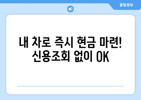 김제 지역 자동차 담보 대출| 신용조회 없이 내 차로 즉시 대출 받기 | 김제, 자동차 담보 대출, 신용 대출, 즉시 대출