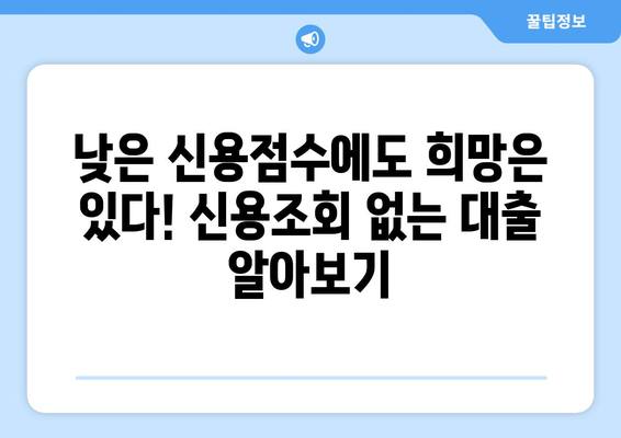 신용점수 낮아도 OK! 신용조회 없는 대출|  나에게 맞는 대출 찾는 방법 | 신용대출, 무직자대출, 소액대출, 비상금 마련