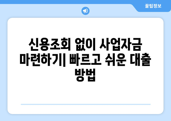 신용조회 없는 사업자 대출| 빠르고 쉽게 돈 빌리는 방법 |  비교, 추천, 무서류 대출