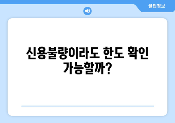 신용불량자도 가능! 신용 조회 없이 한도 확인하는 방법 | 대출, 카드, 한도 조회, 신용불량