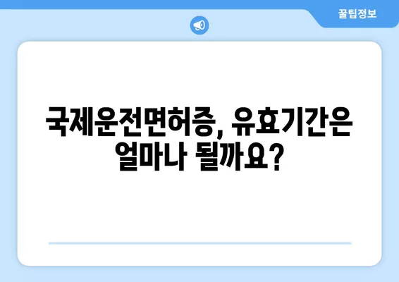 국제운전면허증 발급 & 갱신 비용 완벽 가이드 | 발급 절차, 필요 서류, 비용 정보, 갱신 방법