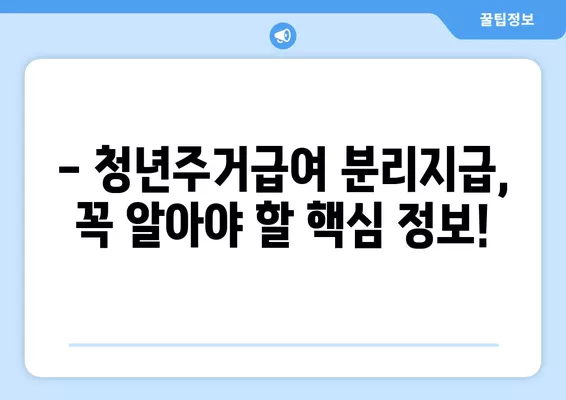 청년주거급여 분리지급, 자격 및 금액 확인 가이드 | 주거 급여, 청년, 분리 지급, 자격 조건, 지원 금액