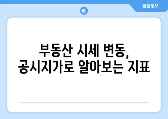 2024년 공시지가 vs 실거래가 비율 확인| 지역별 현실화율 분석 | 부동산 가치, 시세 변동, 공시지가 현실화