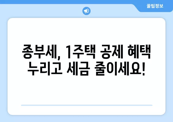 종부세 1세대 1주택 기준 12가지 (+ 주택수 계산 및 제외 대상) | 종부세, 1주택, 주택수 계산, 세금 절세