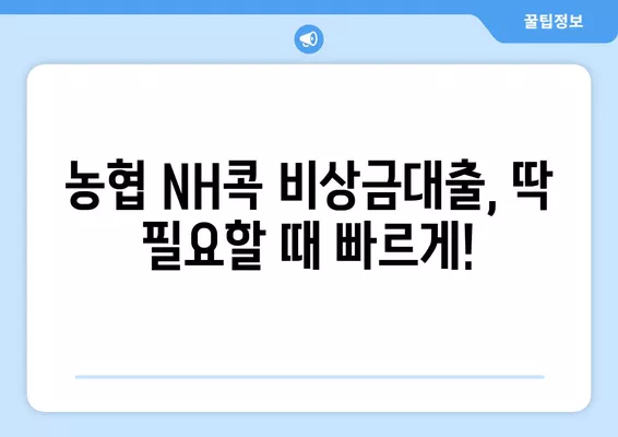 농협 NH콕 비상금대출 신청부터 부결까지| 완벽 가이드 | 비상금대출, 신청방법, 부결사유, 장단점, 꿀팁