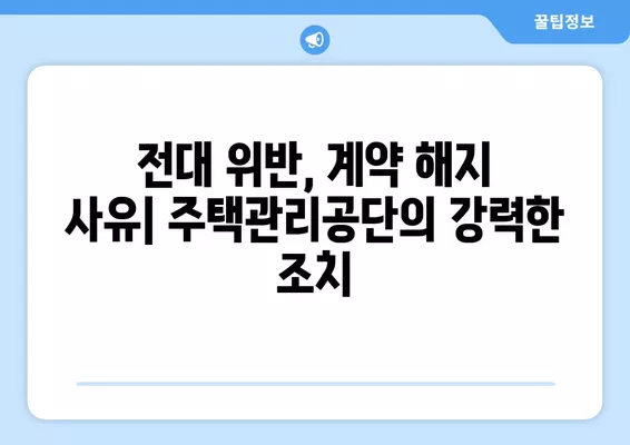 공공임대아파트 불법전대, 동거인과 계약 해지 위험? | 전대 위반, 계약 해지 사유, 주의 사항