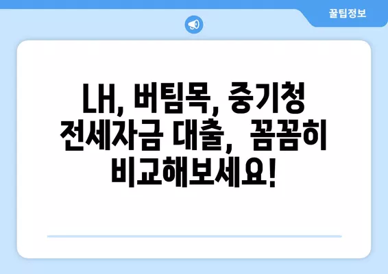 2024년 청년 전세자금 대출 완벽 가이드| LH, 버팀목, 중기청 비교분석 | 전세대출, 주택금융, 청년 지원