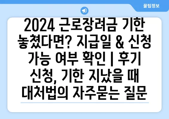 2024 근로장려금 기한 놓쳤다면? 지급일 & 신청 가능 여부 확인 | 후기 신청, 기한 지났을 때 대처법