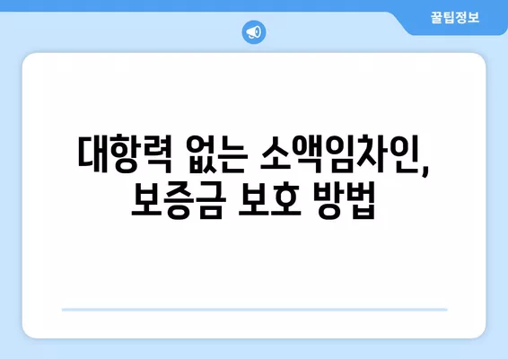 후순위 임차인, 보증금 돌려받는 방법 총정리 (+대항력 없는 소액임차인) | 임대차, 보증금 반환, 법률 정보