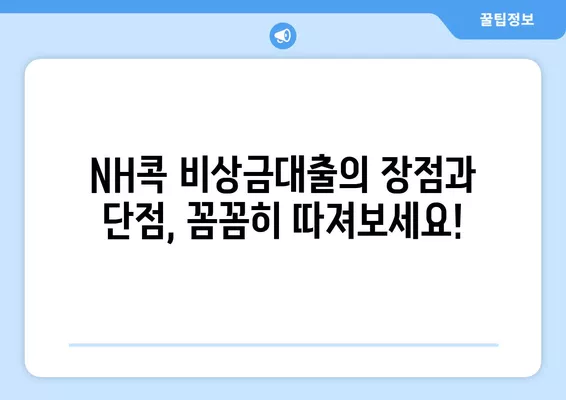 농협 NH콕 비상금대출 신청부터 부결까지| 완벽 가이드 | 비상금대출, 신청방법, 부결사유, 장단점, 꿀팁