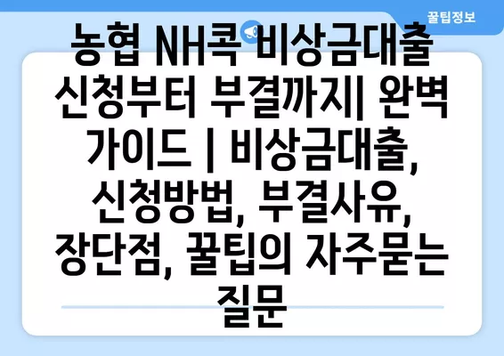 농협 NH콕 비상금대출 신청부터 부결까지| 완벽 가이드 | 비상금대출, 신청방법, 부결사유, 장단점, 꿀팁