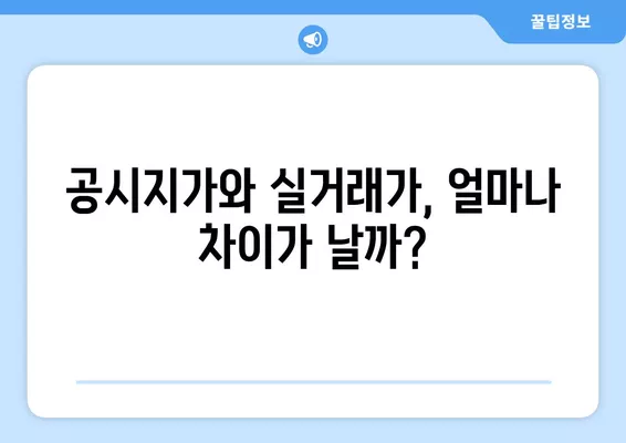 2024년 공시지가 vs 실거래가 비율 확인| 지역별 현실화율 분석 | 부동산 가치, 시세 변동, 공시지가 현실화