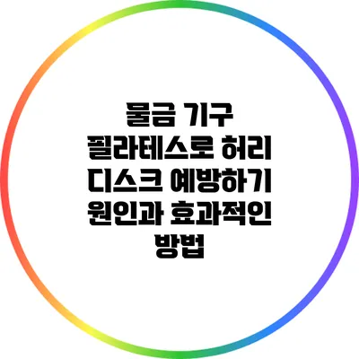 물금 기구 필라테스로 허리 디스크 예방하기: 원인과 효과적인 방법
